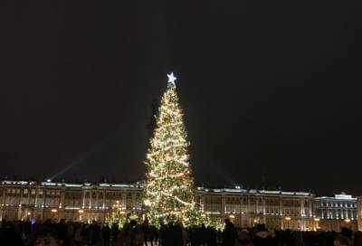 На Дворцовой площади зажгли главную новогоднюю елку Петербурга