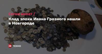 Сотни монет. Клад эпохи Ивана Грозного нашли в Новгороде