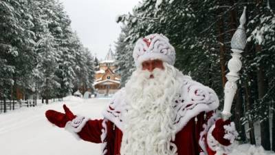 "Незаконная акция": в Беларуси силовики задержали Деда Мороза