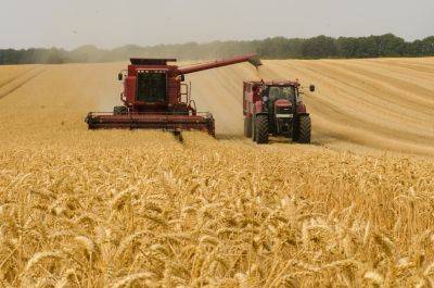 Россия собрала второй по величине урожай зерна в истории