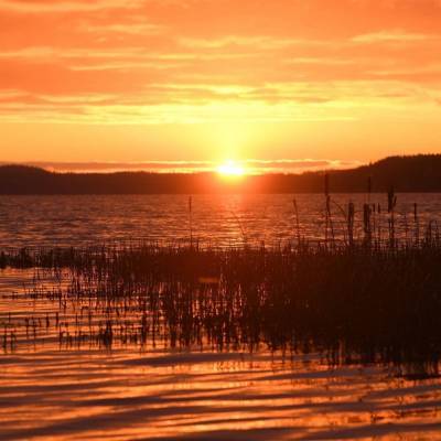 Александр Дрозденко показал красивый рассвет на Лесогорском озере