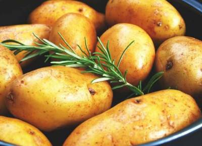 Медики назвали полезные свойства картофеля для здоровья