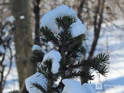 Потепление до -3°С и снегопады придут в Нижний Новгород