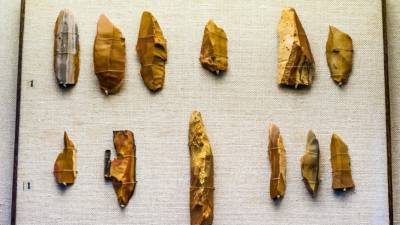В Нидерландах нашли стрелы каменного века из человеческих костей