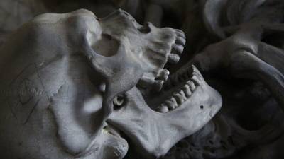 Расфасованные по пакетам человеческие останки нашли в гатчинском подвале
