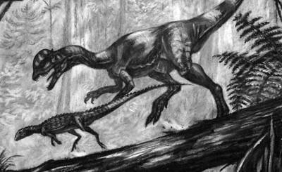 Science (США): настоящие дилофозавры съели бы Парк юрского периода в один присест