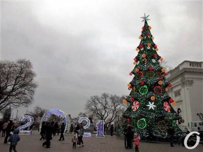 Скоро Новый год: как выглядят елки в разных городах Украины (фото)