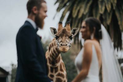 Какие свадебные фото стали лучшими в 2020 году: трогательная подборка победителей