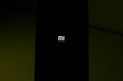 Грядущий флагман Xiaomi Mi 11 впервые показали на живом фото