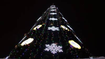 В Челябинске неизвестные вандалы раздели новогоднюю елку