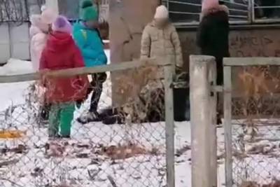 В Саратовской области третьеклассницы избили девочку ногами и выложили видео в интернет