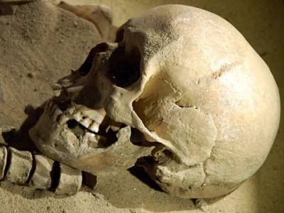 В колодце на севере Петербурга нашли человеческие кости