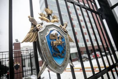 СКР забрал у полиции материалы проверки по избиению семьи в Петербурге
