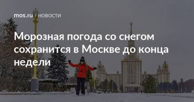 Морозная погода со снегом сохранится в Москве до конца недели