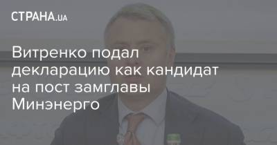 Витренко подал декларацию как кандидат на пост замглавы Минэнерго