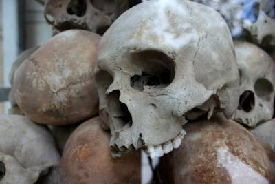 В Гатчине нашли расфасованный по пакетам мумифицированный труп
