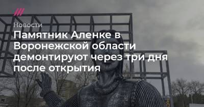 Памятник Аленке в Воронежской области демонтируют через три дня после открытия