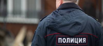 Жителя Петрозаводска отправили в колонию на два года за оскорбление сотрудников полиции