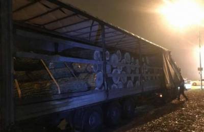 В Броварском районе задержали грузовик с незаконно вырубленным лесом
