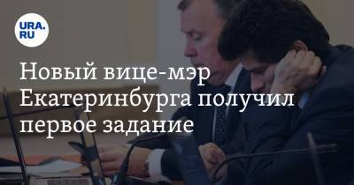 Новый вице-мэр Екатеринбурга получил первое задание