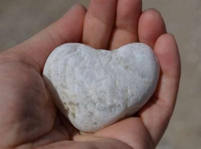 Во Франции в гробнице найдено забальзамированное сердце (Фото)