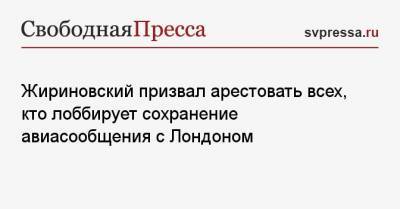 Жириновский призвал арестовать всех, кто лоббирует сохранение авиасообщения с Лондоном