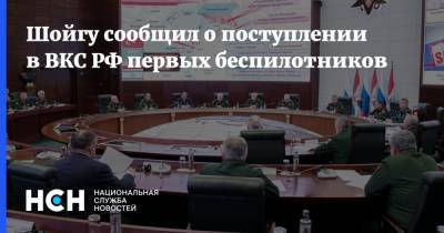 Шойгу сообщил о поступлении в ВКС РФ первых беспилотников