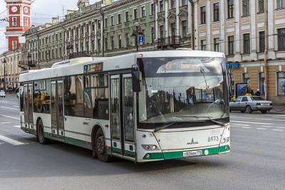 Нелегальных перевозчиков в Петербурге оштрафовали на 4,5 миллионов рублей