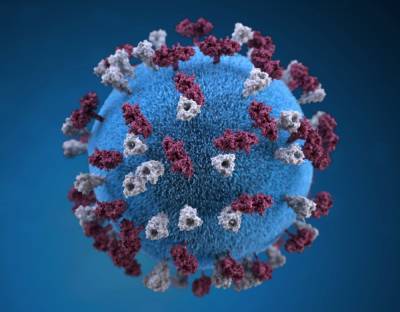 Мутация коронавируса: что известно о новом штамме и насколько это опасно