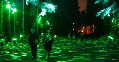 Праздничную подсветку Бикерниекского леса и Анниньмуйжского парка временно прекратят