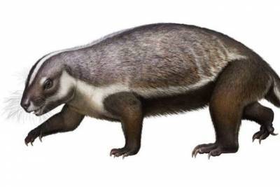 Найден «безумный зверь», живший рядом с динозаврами