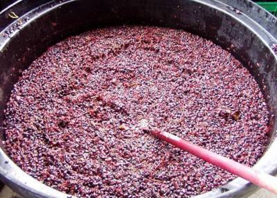 Как сделать чачу из виноградного жмыха в домашних условиях