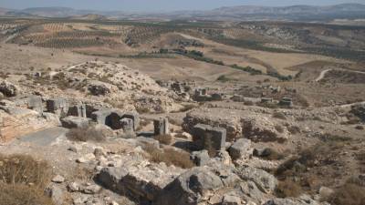 Протурецкие боевики разграбили древнее святилище в сирийском Африне