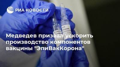 Медведев призвал ускорить производство компонентов вакцины "ЭпиВакКорона"