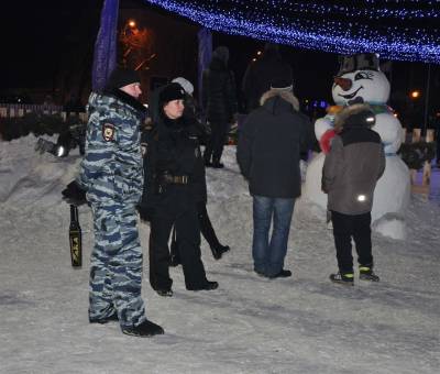 Ульяновцы в новогодние праздники будут под защитой полиции