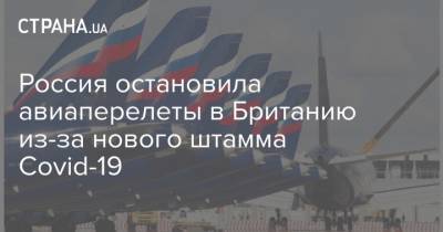 Россия остановила авиаперелеты в Британию из-за нового штамма Covid-19