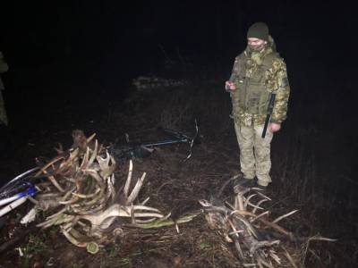 В Чернобыльской зоне поймали двух украинцев и белоруса с рогами