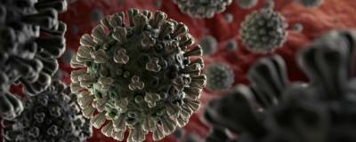В Оренбургской области выявлены еще 177 заразившихся коронавирусом