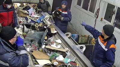 Кота в мешке нашли на мусороперерабатывающем предприятии в Ульяновске
