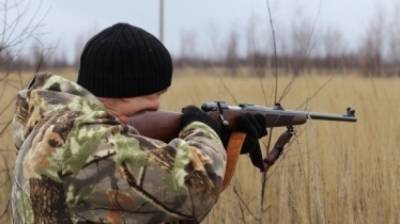 СК РФ занялся расследованием убийства благородного оленя под Смоленском