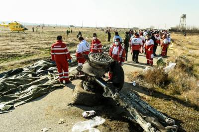 Авиакатастрофа самолета МАУ: Иран назвал дату обнародования отчета