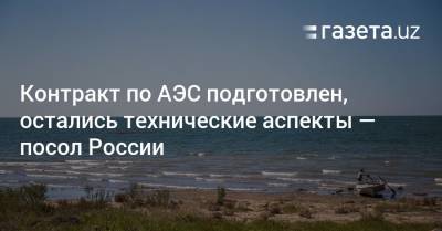 Контракт по АЭС подготовлен, остались технические аспекты — посол России