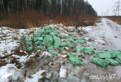 Госэконадзор возбудил административное дело после незаконного сброса отходов в Ржевском лесопарке