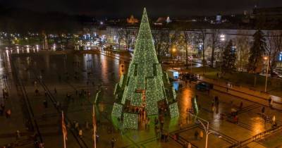 Главная елка Литвы светится благодаря семи миллионам выпитых чашек кофе (9 фото)