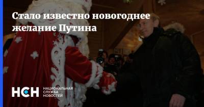 Стало известно новогоднее желание Путина