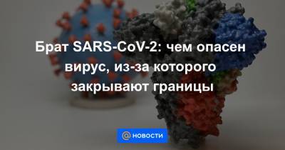 Брат SARS-CoV-2: чем опасен вирус, из-за которого закрывают границы