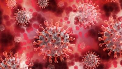 Во что превратится коронавирус через пять лет: комментарий инфекциониста