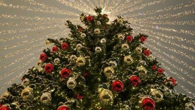 Живая или искусственная: Названы плюсы и минусы разных новогодних елок