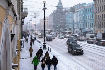 Власти Петербурга рассказали о влиянии климата на распространение коронавируса