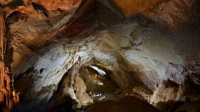 Биологи нашли в румынской пещере Мовиле новый вид ядовитой сколопендры